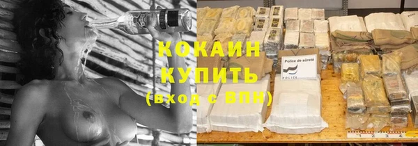 кокс Алексин