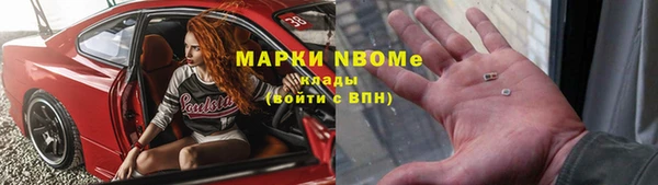 индика Алзамай