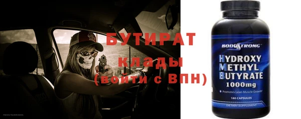 индика Алзамай