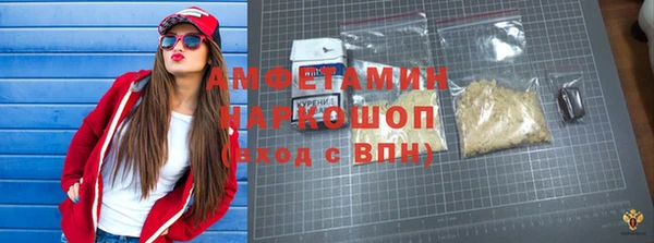 индика Алзамай